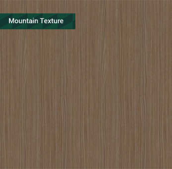 JM566-薩爾瓦多棕橡