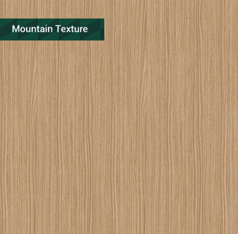 JM567-薩爾瓦多黃橡